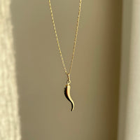Gold + Silver Corno Chilli Pendant