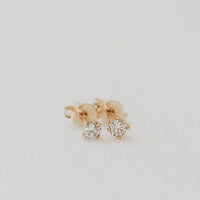 Rose Diamond Stud Pair